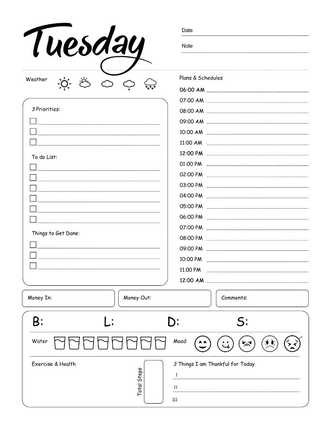 Tuesday Daily Planner, Tuesday Planner Productivity,  Tuesday Planner Work, A4 and US Letter Planner, Insert Printable Planner, Instant Download