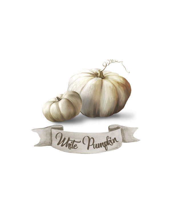 Watercolor White Pumpkin Printable Wall Art. Decorate your home or apartment with this beautiful Fall printable or give as the perfect gift to a friend or loved one this autumn!  Watercolor White Pumpkin Print, Fall Print Thanksgiving, Decor Thanksgiving Print, Pumpkin Art, Fall Printable || 8x10 inches (HD pdf)
