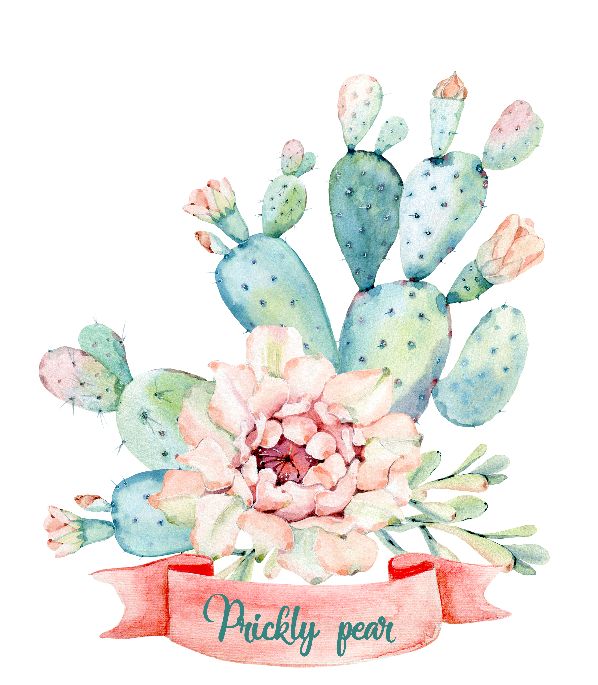 Prickly Pear Watercolor Art Home Decor Wall Prints Poster. A perfect wall decoration poster print for living room, kitchen or bed room. This is an original contemporary watercolor art posters for your home. A watercolor illustration of a prickly pear cactus to bring desert vibes to any room in your home. It is a perfect decor gift for everyone and great for Wall Decorations || 8x10 inches (HD pdf)