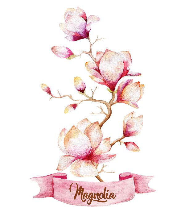 This is original watercolor Magnolia art. Magnolia Painting. Magnolia wall art Watercolor Paintings, Magnolia Watercolors, Magnolia Print, Watercolor Flowers, Magnolia Painting ,botanical watercolor || 8x10 inches (HD pdf)