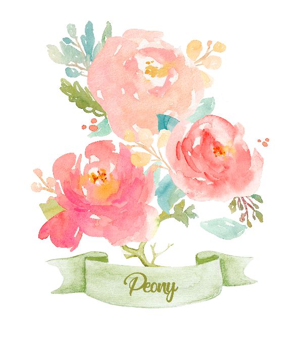 Watercolor Pink Flower Peony Wall Art Decor, Watercolor Peony Flower Artwork, Watercolor Floral Bedroom. This is a Shabby Chic Gift Ideas || 8x10 inches (HD pdf)