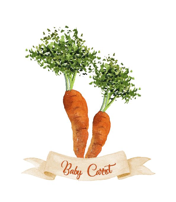 Watercolor Baby Carrots. Wonderfull Kitchen Decor! Perfect nursery room or Kitchen decoration || 8x10 inches (HD pdf)