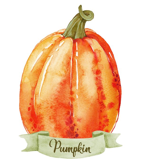 This original watercolor painting is now up for grabs. It is a Vegetables Printable, Pumpkin, Kitchen Decor, Autumn Gift for Her, Fall Wall Art, Fall Entryway Decor, Original Pumpkin Artwork, Pumpkin Wall Art || 8x10 inches (HD pdf)