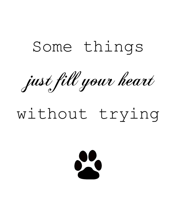 Some Things Just Fill Your Heart Without Trying. Inspiring quote are the new hot trend for home decor right now. Check any home decor magazine and you will most diffidently find wall art of some kind. Dog Wall Decal, Dog Lover Gift Idea, Dog Decor, Pet Quote, Cat Lover || 8x10 inches (HD pdf)