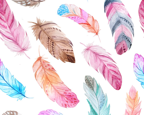 Watercolor feathers