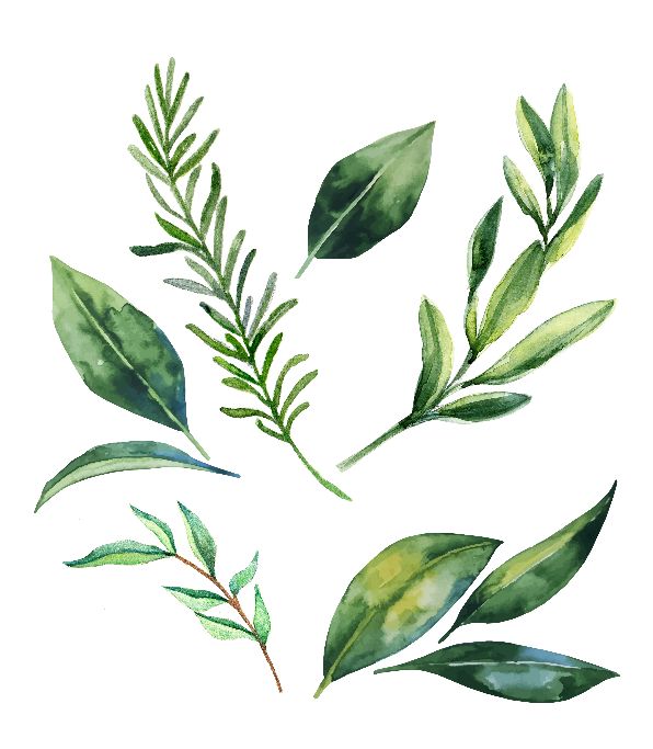 Printable Botanical Print Wall Art (DIY, instant download)