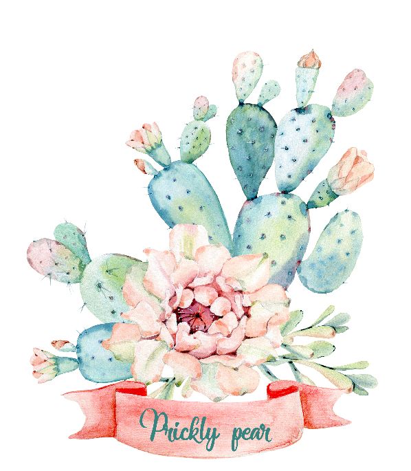 Printable Prickly Pear. Print Wall Art (DIY, instant download)