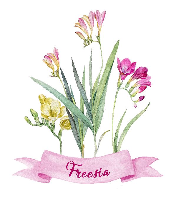 Printable spring freesia. Print Wall Art (DIY, instant download)