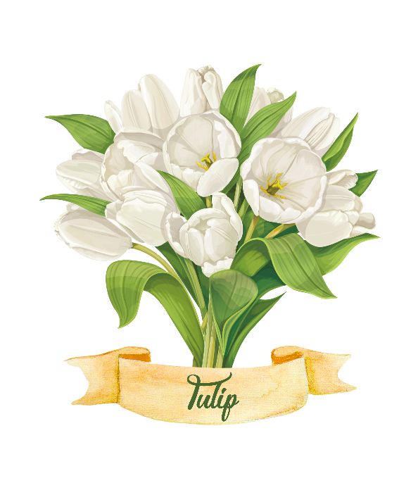 Printable white tulip flower. Print Wall Art (DIY, instant download)