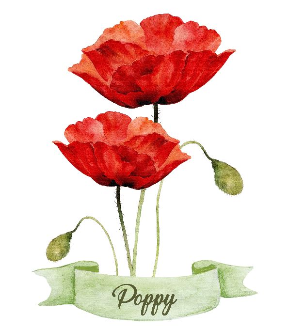 Printable poppy flower. Print Wall Art (DIY, instant download)