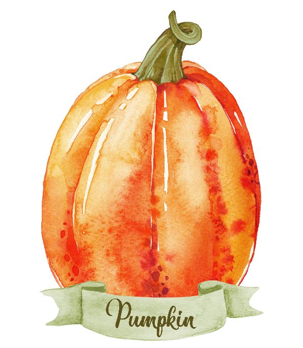 Printable Pumpkin. Print Wall Art (DIY, instant download)