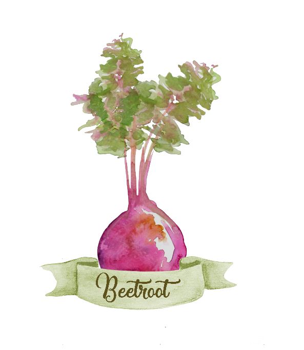 Printable a lovely fresh beetroot. Print Wall Art (DIY, instant download)