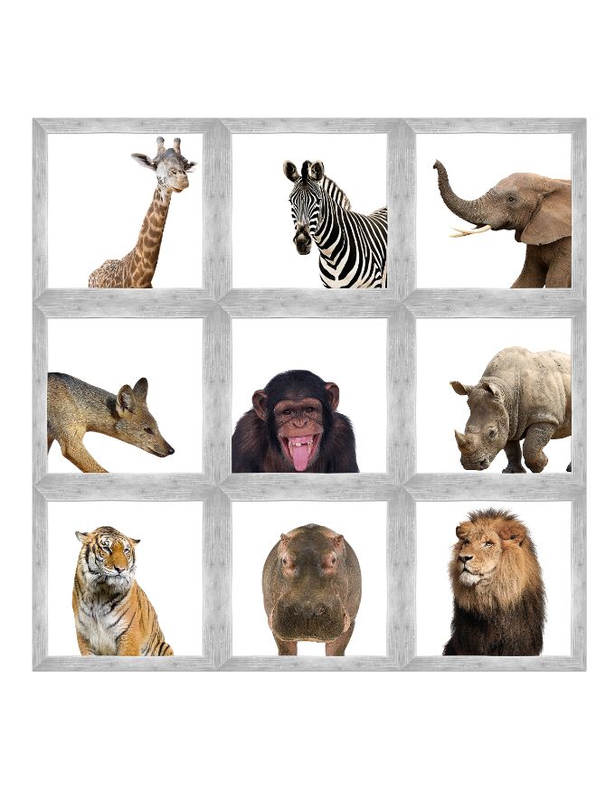 Safari Animals Print