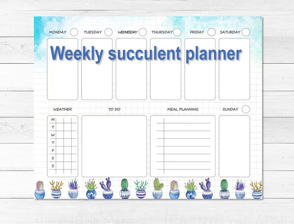 Printable Weekly succulent watercolor layout stencil for Bullet journal and planner, Week spread template stencil, Daily layout stencil (DIY, instant download)